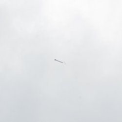 2013 Suche 29062013 Michal